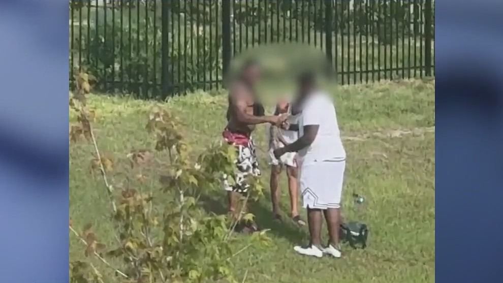 Men accused of pulling small alligator from pond